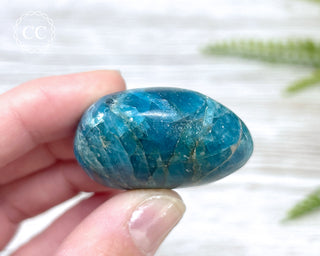 Blue Apatite Chunky Palm Stone #1