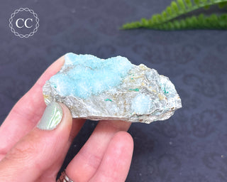 Blue Aragonite #15