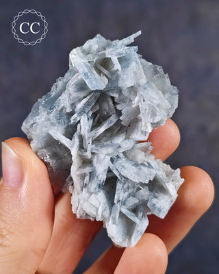  Baryte crystal Cluster (also spelt Barite) is the popular blue colour with flattened, tabular crystals. This specimen is from the Teresita Mine in Murcia, Spain. 