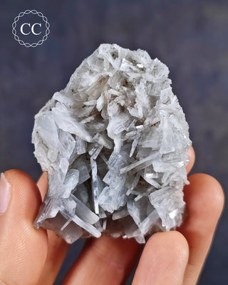  Baryte crystal Cluster (also spelt Barite) is the popular blue colour with flattened, tabular crystals. This specimen is from the Teresita Mine in Murcia, Spain. 
