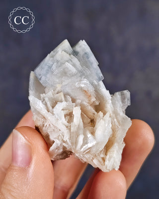  Baryte crystal Cluster (also spelt Barite) is the popular blue colour with flattened, tabular crystals. This specimen is from the Teresita Mine in Murcia, Spain. 
