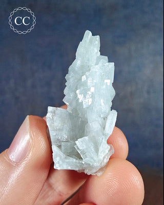  Baryte crystal Cluster (also spelt Barite) is the popular blue colour with flattened, tabular crystals. This specimen is from the Teresita Mine in Murcia, Spain. 