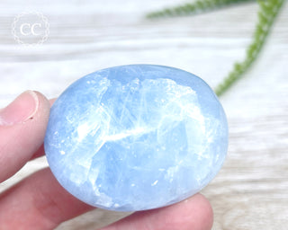 Blue Calcite Chunky Palm Stone #5