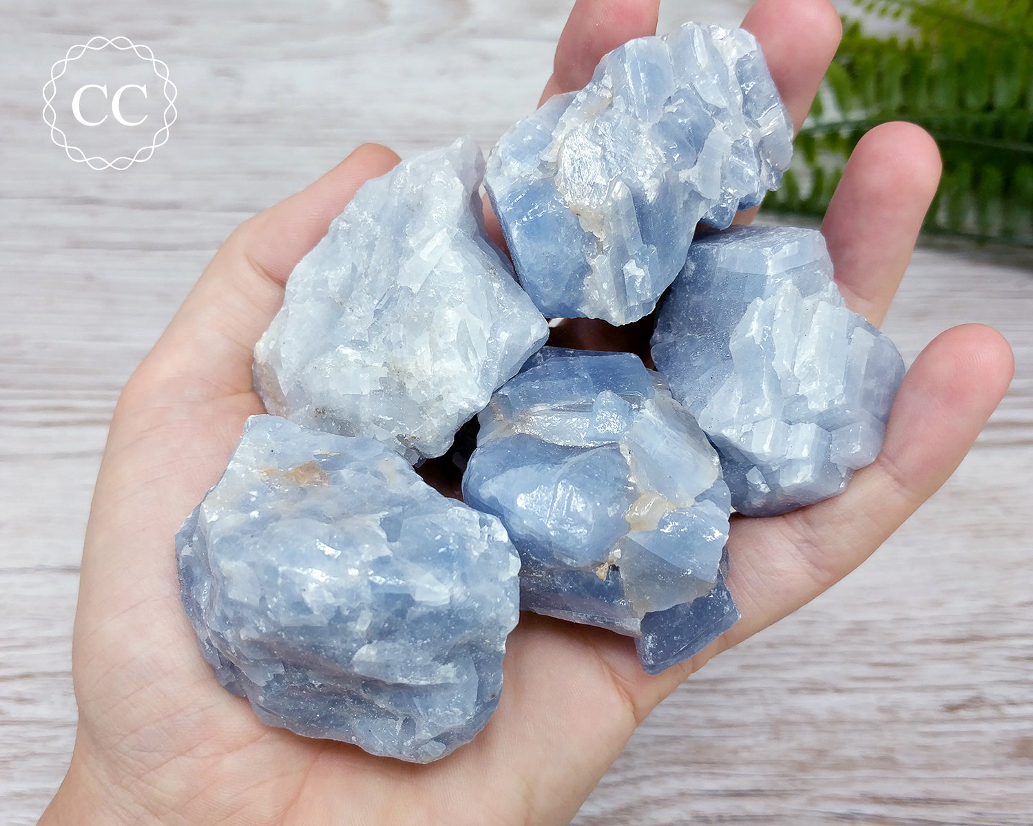 Blue Calcite Raw Crystal – The Citrine Circle