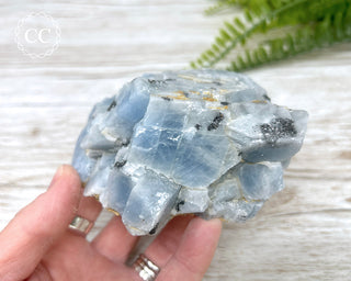 Blue Calcite with Graphite Specimen #3