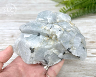 Blue Calcite with Graphite Specimen #4