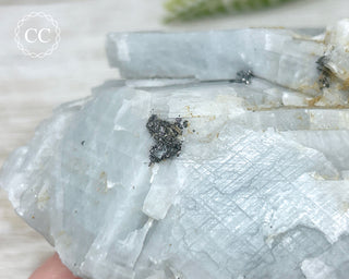 Blue Calcite with Graphite Specimen #4