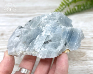 Blue Calcite with Graphite Specimen #6