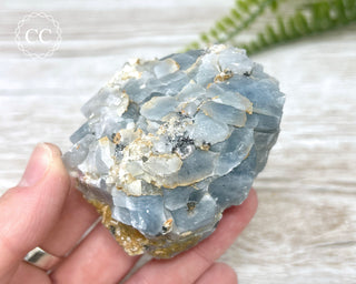 Blue Calcite with Graphite Specimen #9