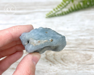 Blue Calcite with Graphite Specimen #10