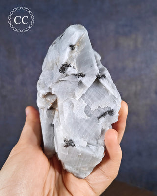 Blue Calcite with Graphite Specimen #4