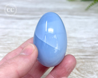 Blue Chalcedony Egg #2