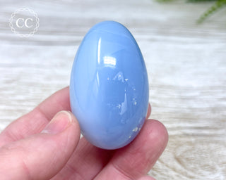 Blue Chalcedony Egg #2