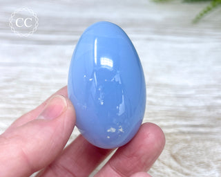 Blue Chalcedony Egg #2