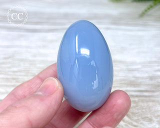 Blue Chalcedony Egg #4
