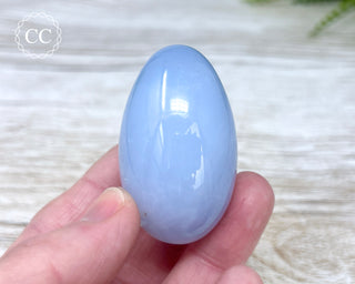 Blue Chalcedony Egg #5