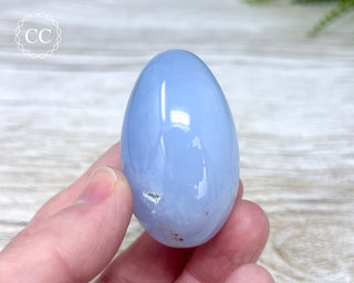 Blue Chalcedony Egg #5