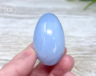 Blue Chalcedony Egg #5