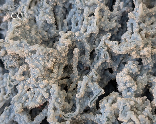 Blue Chalcedony - Aurangabad, India #1