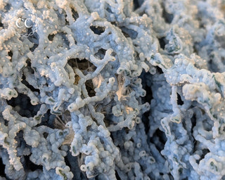 Blue Chalcedony - Aurangabad, India #1