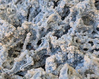 Blue Chalcedony - Aurangabad, India #1