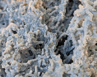 Blue Chalcedony - Aurangabad, India #1