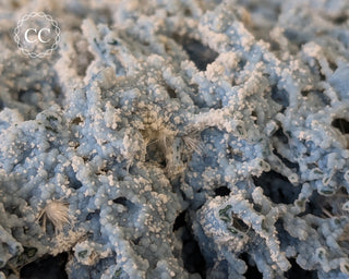 Blue Chalcedony - Aurangabad, India #1