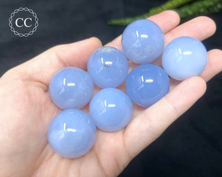 Blue Chalcedony Mini Spheres in hand