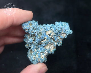 Blue Chalcedony - Aurangabad, India #6