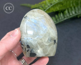 Blue Flash Garnierite | Green Moonstone Freeform #2