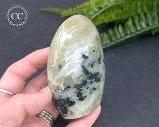 Blue Flash Garnierite | Green Moonstone Freeform #4