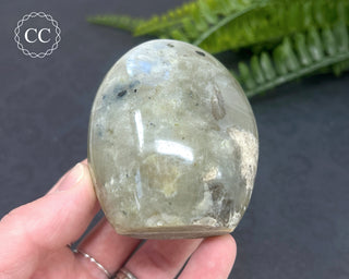 Blue Flash Garnierite | Green Moonstone Freeform #6