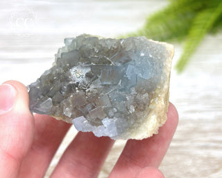 Blue Fluorite - Bingham #1