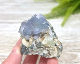 Blue Fluorite - Bingham #4