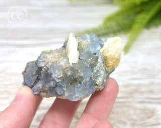 Blue Fluorite - Bingham #5