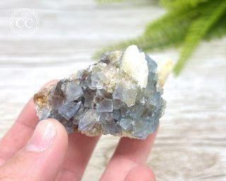 Blue Fluorite - Bingham #5
