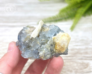 Blue Fluorite - Bingham #5