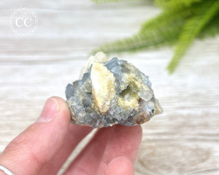 Blue Fluorite - Bingham #5