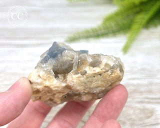 Blue Fluorite - Bingham #6