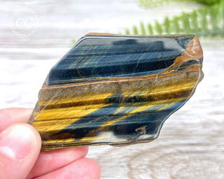 Blue Gold Tigers Eye Slice #2