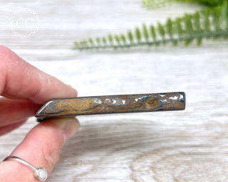 Blue Gold Tigers Eye Slice #4