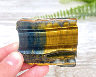 Blue Gold Tigers Eye Slice #5