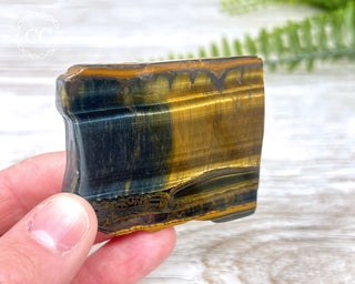 Blue Gold Tigers Eye Slice #5