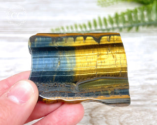 Blue Gold Tigers Eye Slice #5