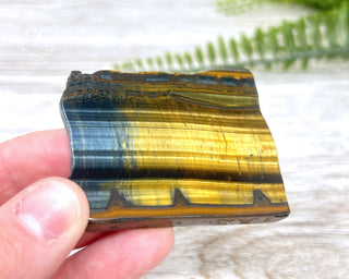 Blue Gold Tigers Eye Slice #5