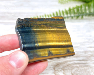 Blue Gold Tigers Eye Slice #5