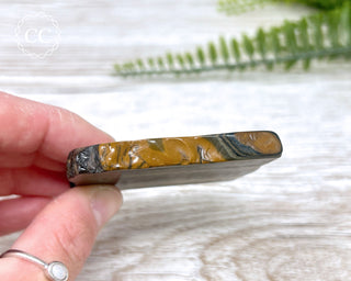 Blue Gold Tigers Eye Slice #5