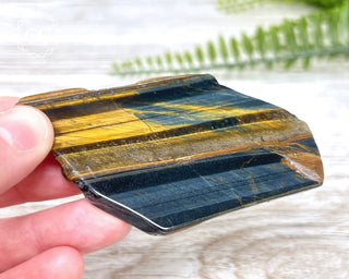 Blue Gold Tigers Eye Slice #2