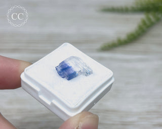 Blue Halite Crystal New Mexico #1