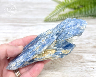 Blue Kyanite Crystal #3